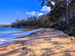Southern Local #9 - Randalls Bay - Oct 11